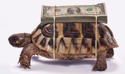 Slow Money